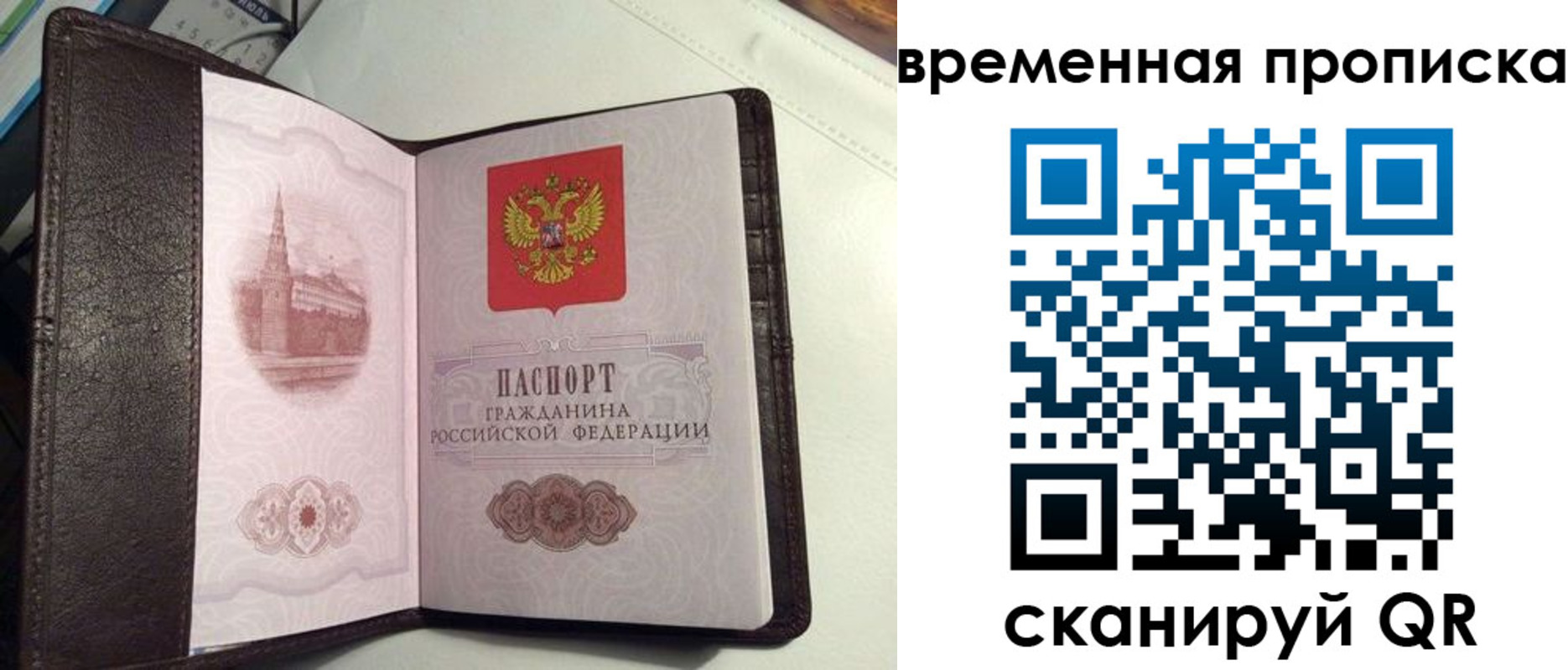 прописка 2025 в Приозерске